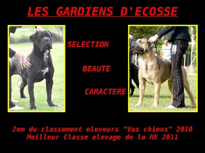 des gardiens d'Ecosse - Vos chiens magasine......