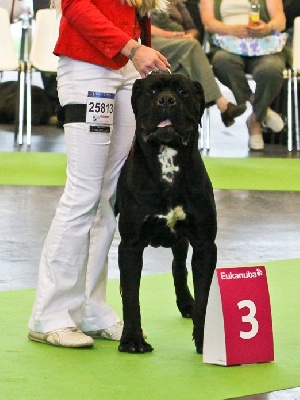 des gardiens d'Ecosse - CHAMPIONNAT DU MONDE WDS Paris 2011