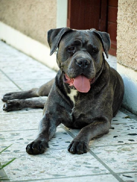 Fashion victim des gardiens d'Ecosse