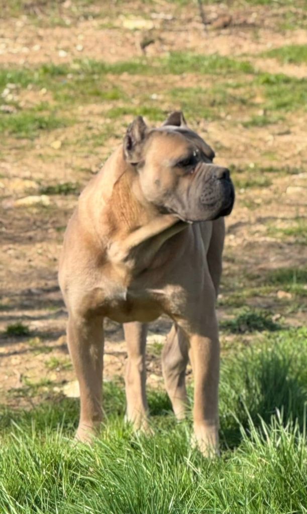 Archer en una palabra